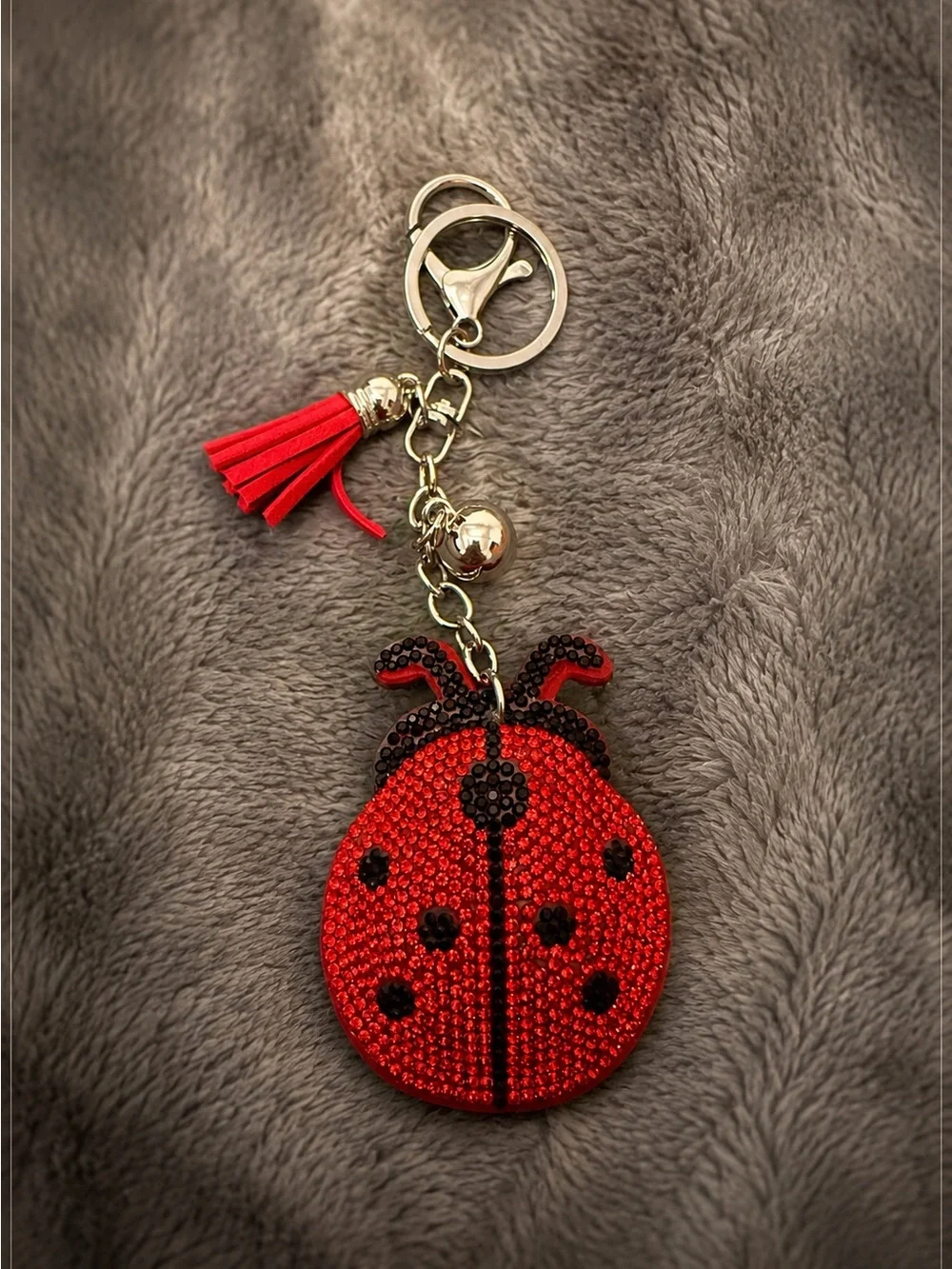 Ladybug Keychain with Tassel - Picture 1 of 3